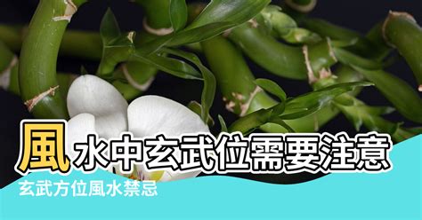 青龍位 風水|何謂風水學中的青龍煞